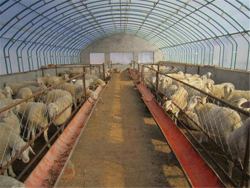 414色板商品411tttt